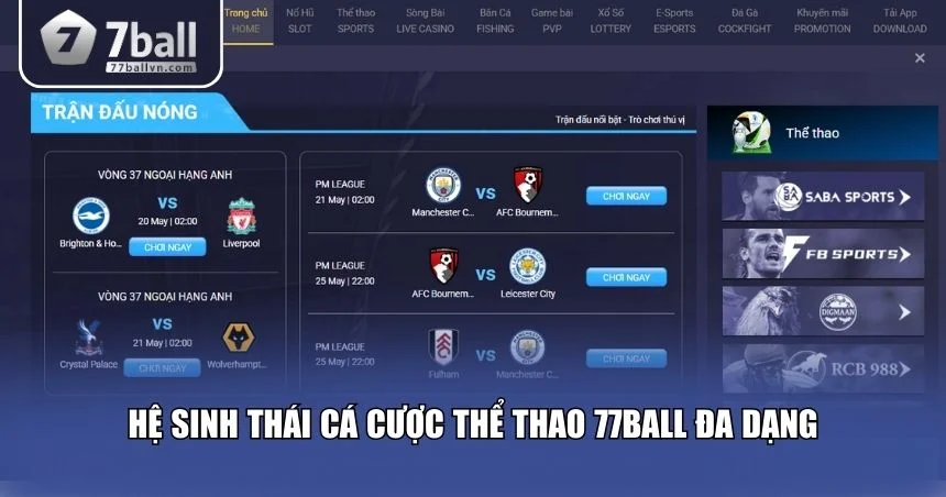 Điểm mạnh nổi bật nhất của cá cược thể thao 77Ball chính là sự đa dạng