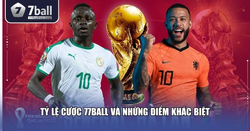 Tỷ lệ cược 77ball thành công với nhiều điểm khác biệt